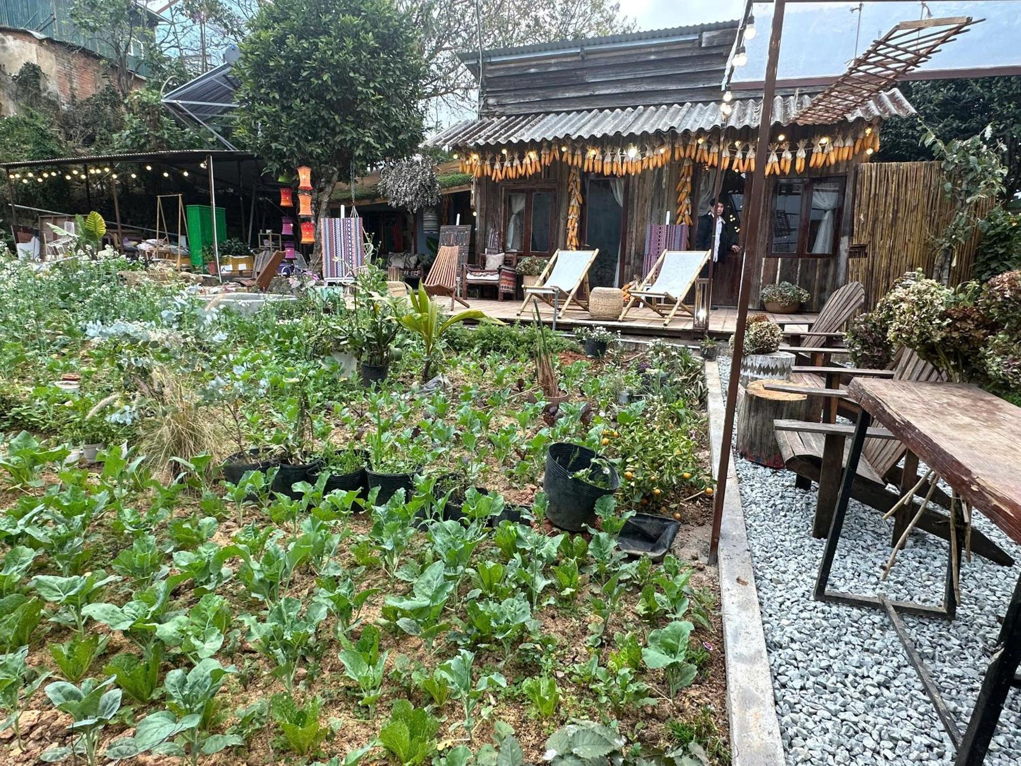 Hotel Làng Kò Hơ Da Lat Esterno foto